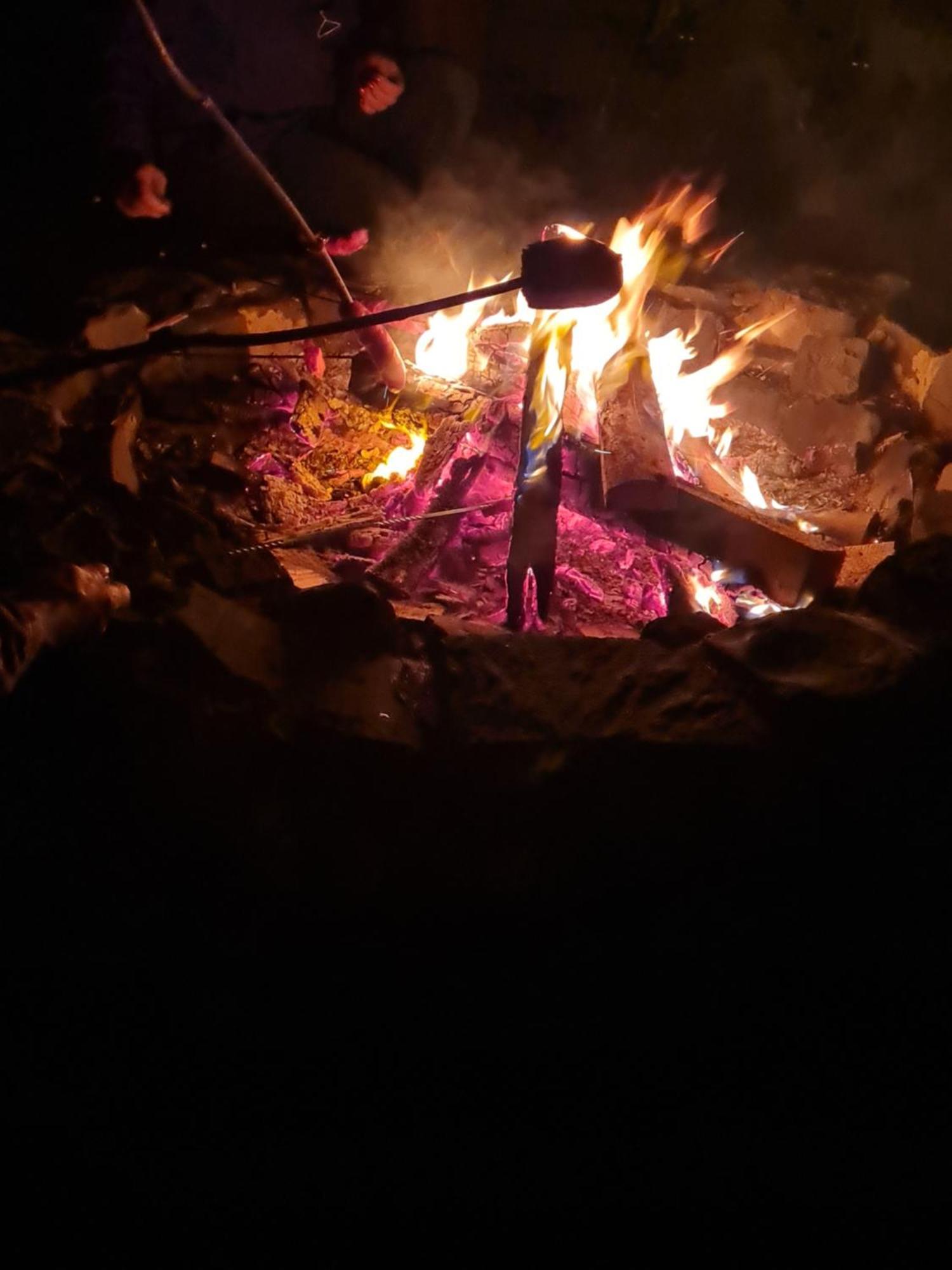 אלטנאו Welt Lodge מראה חיצוני תמונה